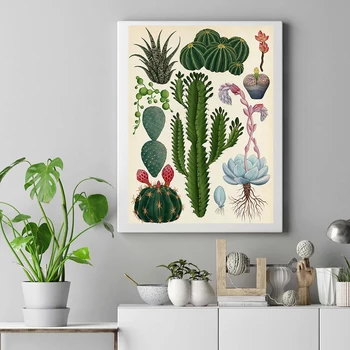 Cvjetanje Kaktusi Ботаническая Slikarstvo na platnu leptir Vintage Plakati i grafike Zid Umjetnost za Dnevni boravak Home Dekor Cuadros